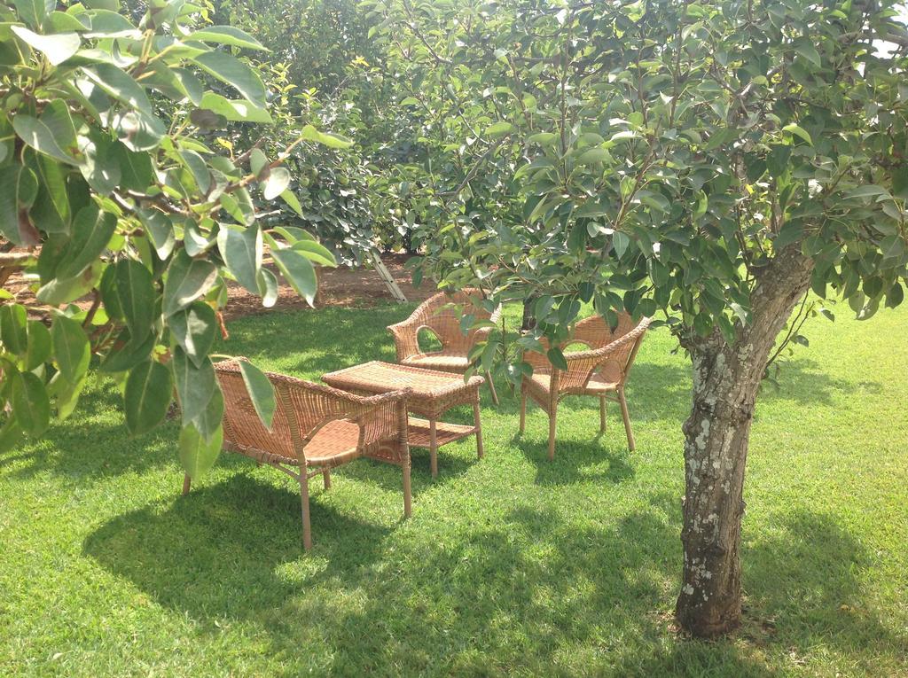 Agriturismo L'Agrumeto Otranto Zewnętrze zdjęcie